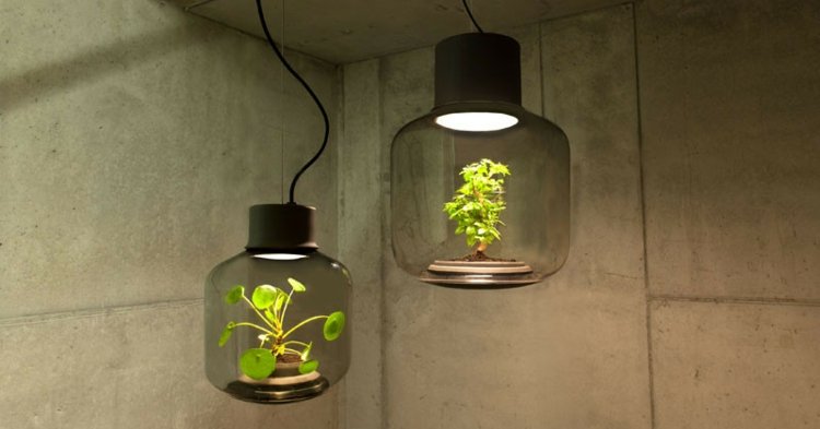 Dve krásne LED žiarovky osvetľujú temnú miestnosť LED rastlinná lampa mygdal-zelená-rastlina-čierna-žiarovka