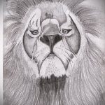 oroszlán tetoválás vázlatok realizmus - rajzok tetoválásokhoz a 29042916 -ból 3