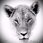 oroszlán tetoválás vázlatok realizmus - rajzok tetoválásokhoz a 29042916 -ból 7