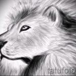 oroszlán tetoválás vázlatok realizmus - rajzok tetoválásokhoz a 29042916 -ból 8