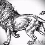 oroszlán tetoválás minták férfiaknak - tetoválásminták a 29042916 -tól 5