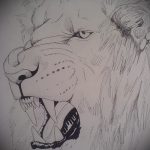 oroszlán tetoválás vázlatok - tetoválás minták a 29042916 10 -ből