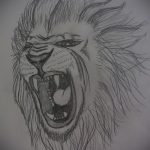 oroszlán tetoválás vázlatok - tetoválásminták a 29042916 11 -ből