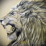 conceptions de tatouage lion sourire sur ses épaules - images pour les tatouages ​​de 29042916 1