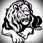 croquis d'un tatouage de lion sur sa jambe - les dessins pour les tatouages ​​de 29042916 1