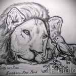 lion de tatouage réalisme - images pour les tatouages ​​de 29042916 1