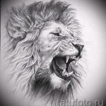 oroszlán tetoválás vázlata a lábán - a tetoválás rajzai a 29042916 -ból 3