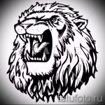 tetoválás oroszlán vigyorral a vállán - képek tetoválásokhoz a 29042916 -ból 2