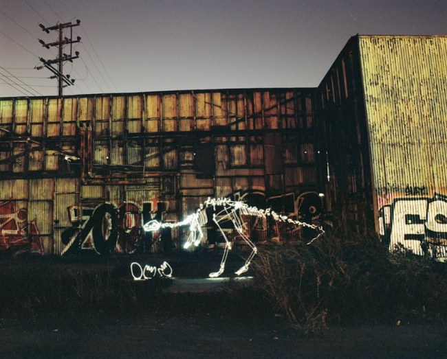 Umelecká inštalácia dinosaurieho vajíčka obsahuje darren pearson Svetlo na inštaláciu dinosaurieho vajíčka od Darrena Pearsona