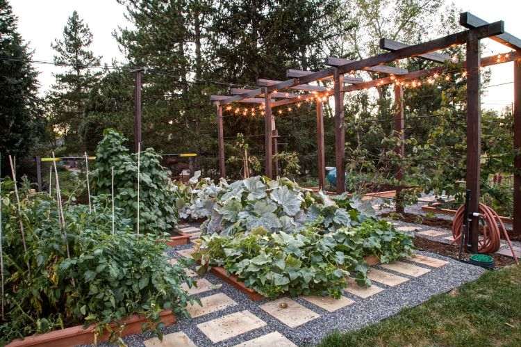 reťaz svetiel visiaca vonku vodítko mimo záhradný dvor lesk žiarovky pergola záhradná hadica záhradná cesta pestovanie rastlín