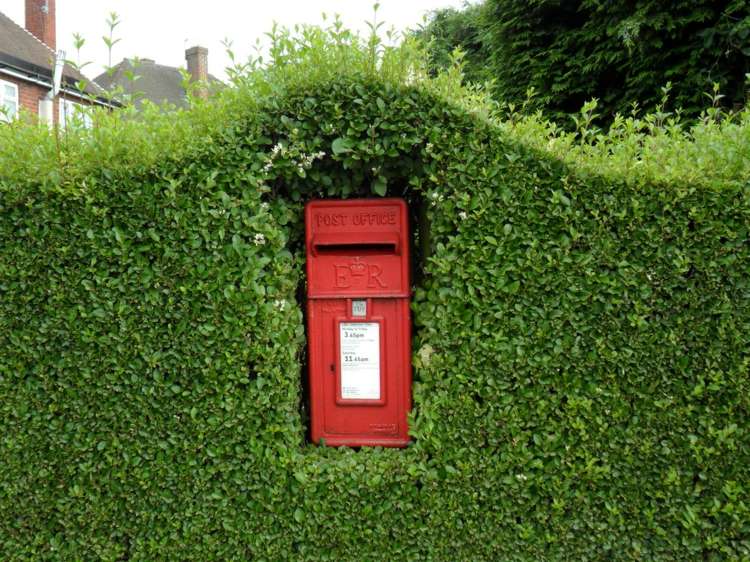 Rastliny je možné tvarovať podľa želania rastliny-zobák-živý plot-tvar-nápad-schránka-plot-originál