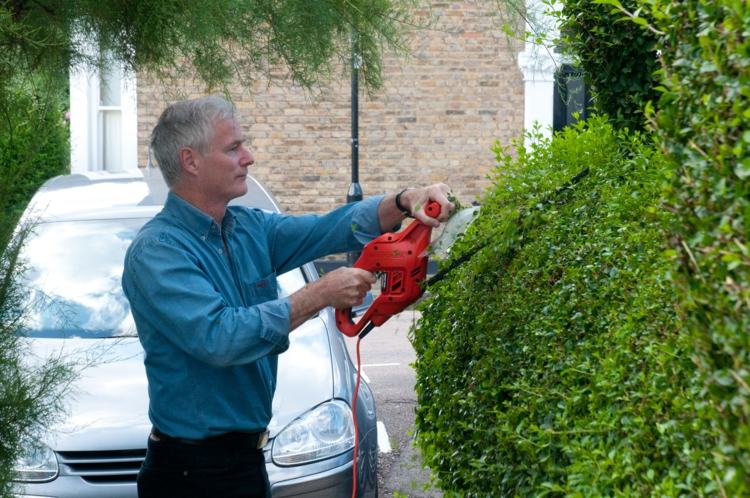 Živý plot sa kosí dvakrát až trikrát za rok rastliny-zobák-živý plot-strihanie-živého plota-kosačka-píla-vchod