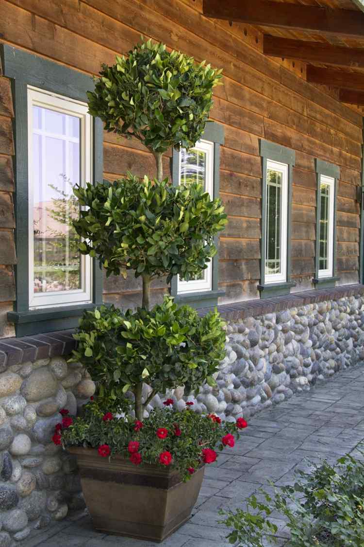 Vyformujte privet na strom rastliny-zobák živý plot-strom-kvetináč-fasáda-drevo-kameň-vysokohorský