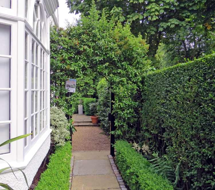 Zasaďte živý plot a vytvorte oblúk Rastliny živého plotu nápad-arch-záhradná cesta-ochrana-zálivu