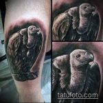 татуировка за мъже # 926 е интересна версия на модела, която може да се използва добре за обработка и нанасяне като татуировка на ръката за мъже