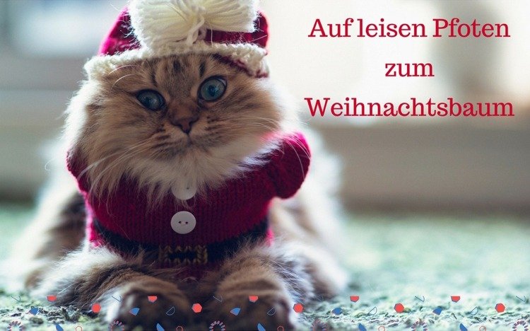 vtipné vianočné pohľadnice, mačka, tlač na tichých labkách