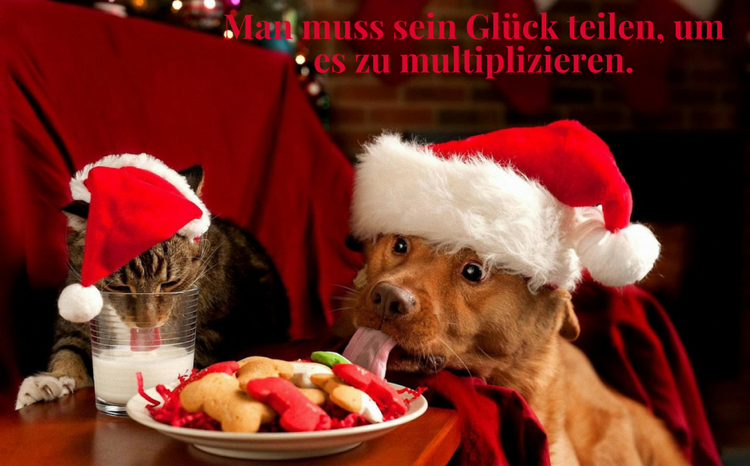 zábavné vianočné pohľadnice hovoria o šťastí