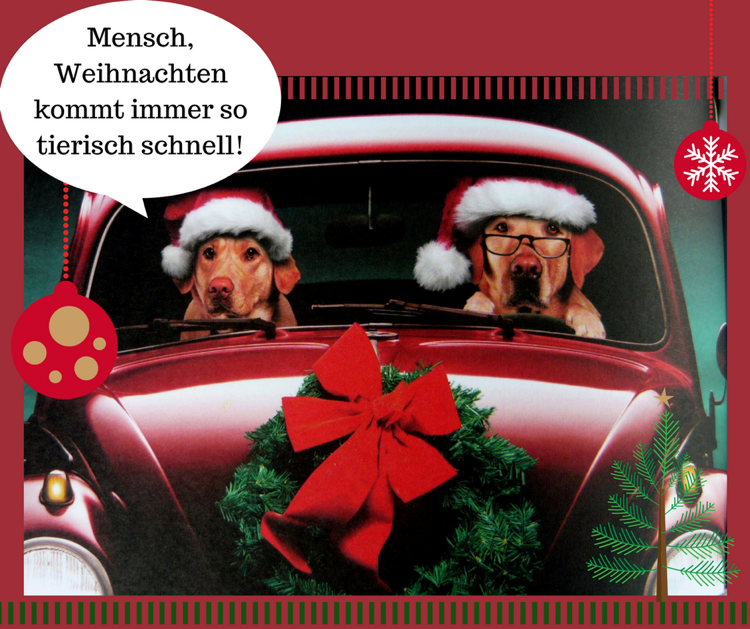 vtipné vianočné pohľadnice vytlačiť psy