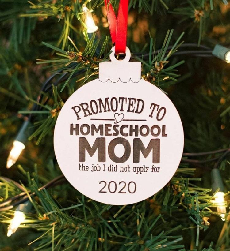 Práca, o ktorú som sa neuchádzal - Homeschool Mama 2020
