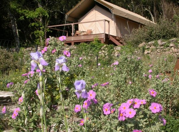 Glamping trendy v oblasti Languedoc-Roussillon vo Francúzsku