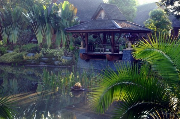 výsadba luxusného rezortu v Thajsku rastliny luxusného rezortu v Thajsku