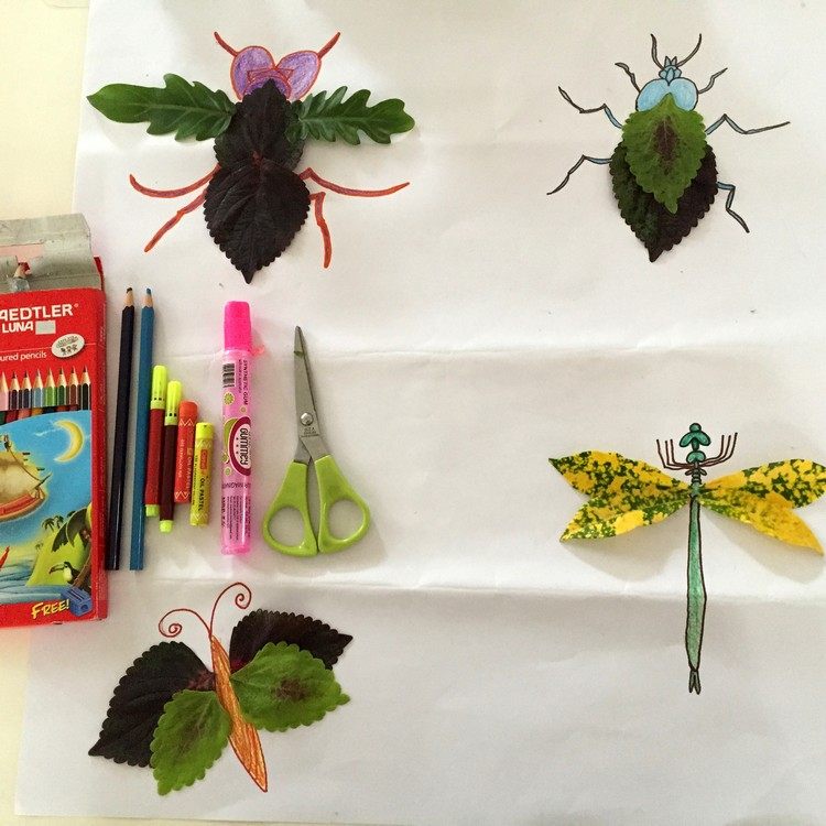chrobák-drotár-deti-papier-pastelky-listy