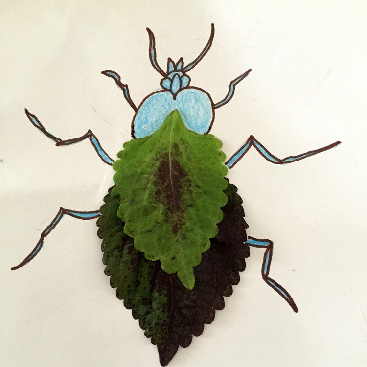 cockchafer-tinker-paint-kids-leaves