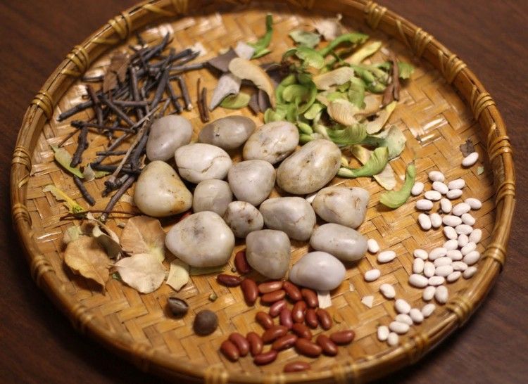 natumaterial-drotár-hmyz-chrobák-šváb