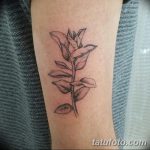 fotó Kis tetoválások lányoknak 2018.01.26 -tól №047 - Kis tetoválások lányoknak -