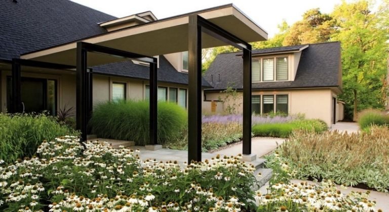 Na prednom dvore vysaďte sedmokrásky Sedmokrásky-v-záhrade-predná záhrada-okrasná tráva