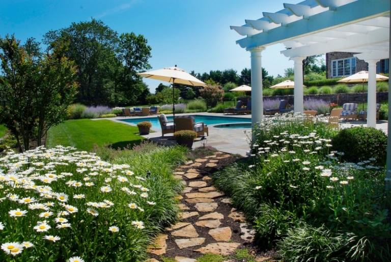 Marguerites na okraji trávnika - štýlový záhradný dizajn Sedmokrásky-v-záhrade-záhradnej-ceste-kamenná cesta-štrk