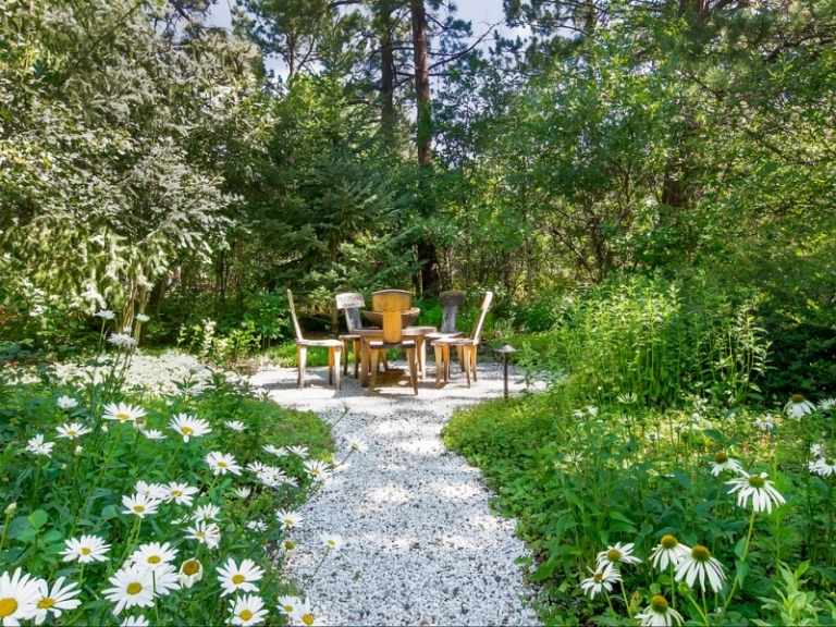 Na okraji záhradnej cesty vysaďte sedmokrásky Sedmokrásky v záhrade nápady nápady štrková cesta