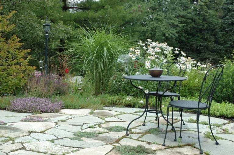 Stredomorská terasa a sedmokrásky na okraji Sedmokrásky-v-záhrade-biela-trvalka-kovaný-nábytok