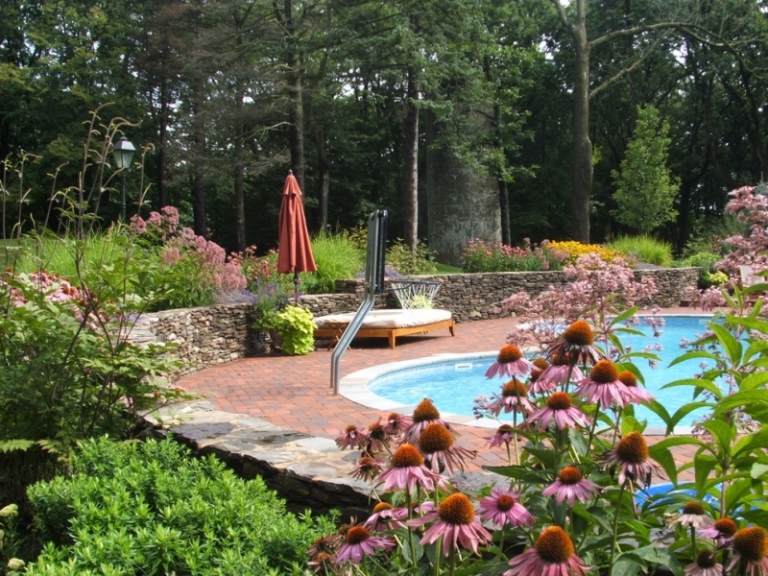 Ružové sedmokrásky na okraji záhrady Sedmokrásky-v-záhrade-ružovom-bazéne-kamenná stena