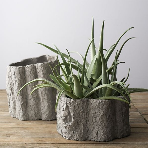 Sadzače kaktusov a šťavnatého dreva vyzerajú zbierka rýb-kvetináče-pre-kaktusy-sukulenty-rustikálne-kmene-kmeňov-optika