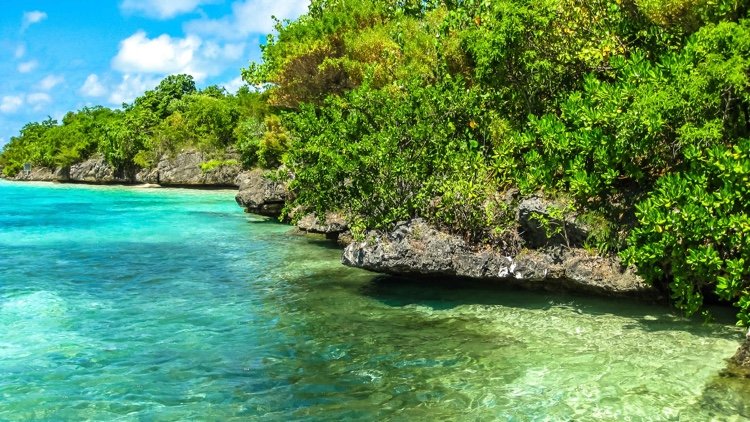 Prírodná rezervácia na Mauríciu Ile aux Aigrettes