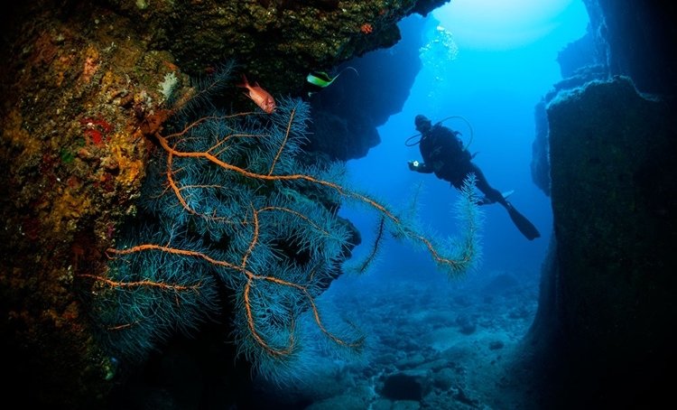 Kde šnorchlovať a potápať sa na Mauríciu La Cathédrale