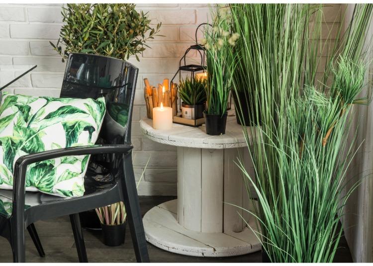 Premeňte dizajn interiéru pomocou káblového bubna ako dekorácie so zelenými rastlinami