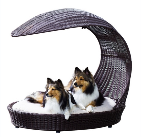 ratanové nápady na posteľ pre psov na zariadenie domácich zvierat