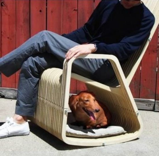 nápady na hojdacie kreslo pre psov na dekoráciu domu pre domácich miláčikov
