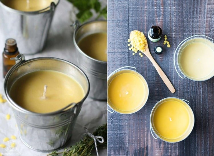 Citrónové a iné citrusové vône na vystrašenie hmyzu - tipy a triky