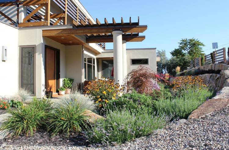 stredomorská záhrada-dizajn-štrk-kamene-rudbeckia-levanduľa-dom-zastrešenie