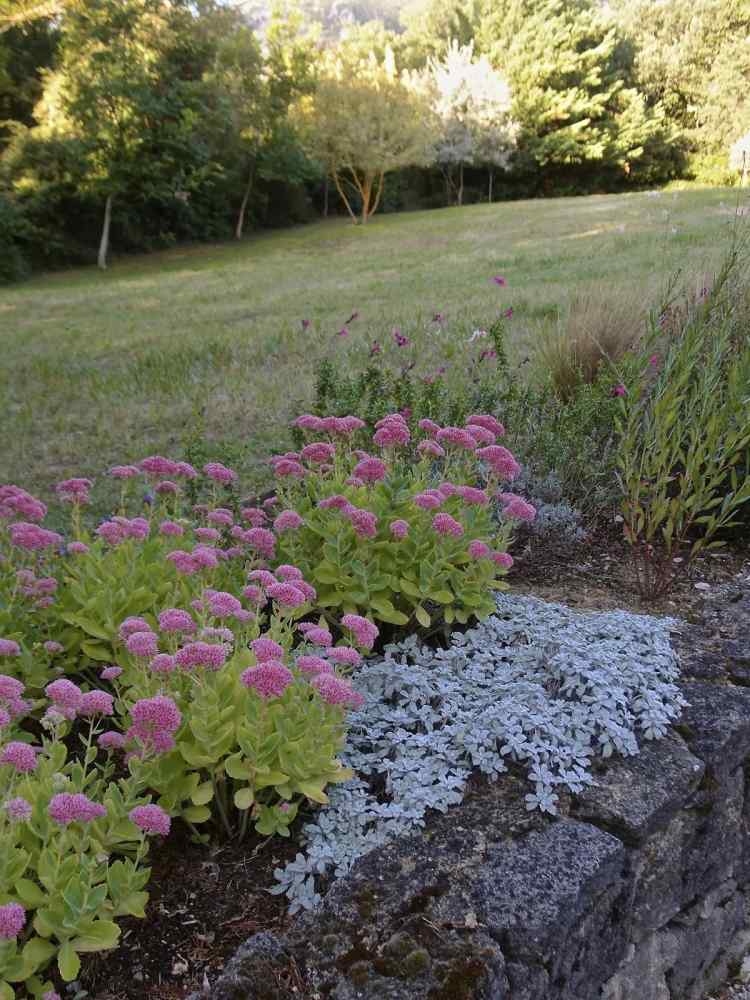 stredozemný-záhradný-dizajn-kvety-rastliny-zem-kryt-trávnik-stena-stromy