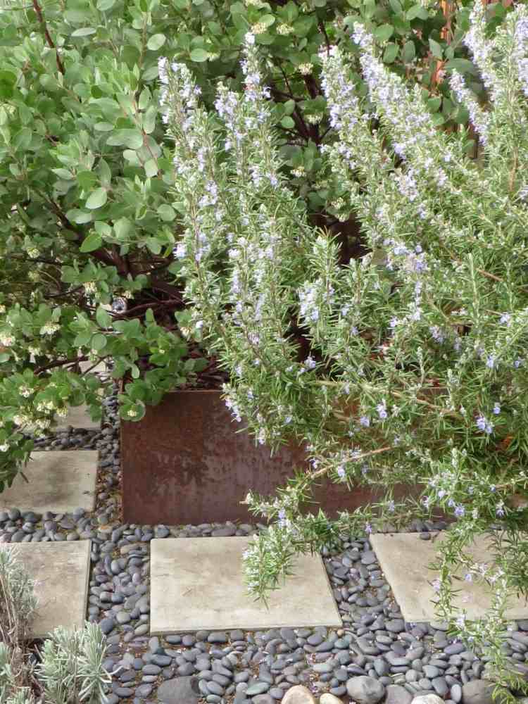 stredomorský-záhradný dizajn-betón-dlaždice-štrk-kov-vedro-korenie-tymian-oregano