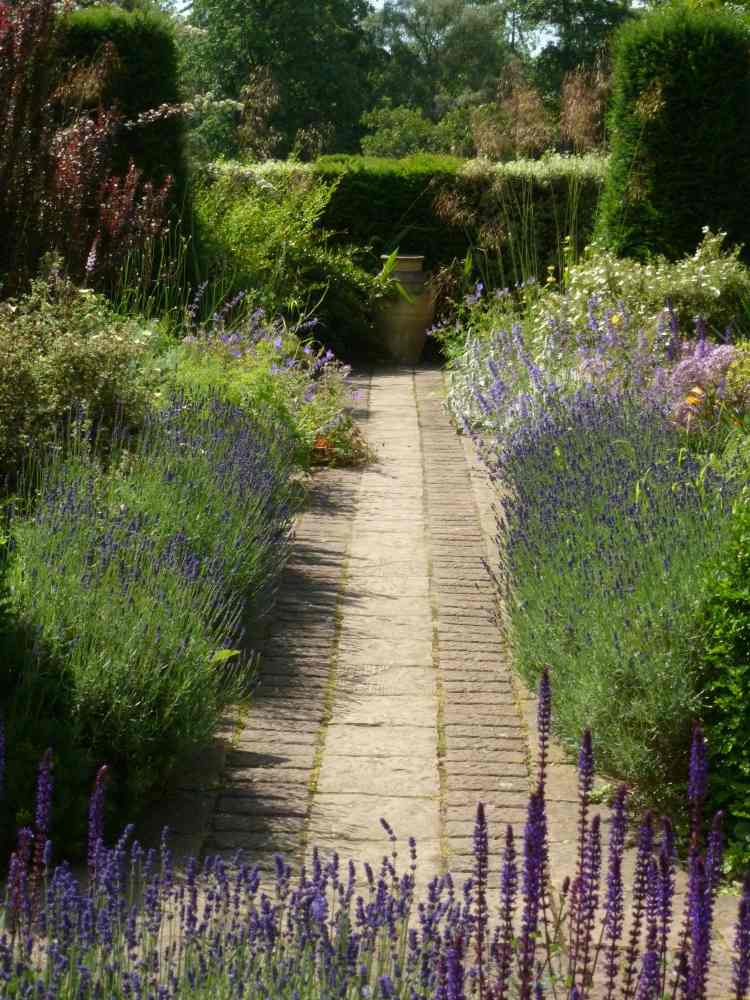 stredomorský-záhradný-dizajn-levanduľa-cesta-chodník-kríky-zemný kryt
