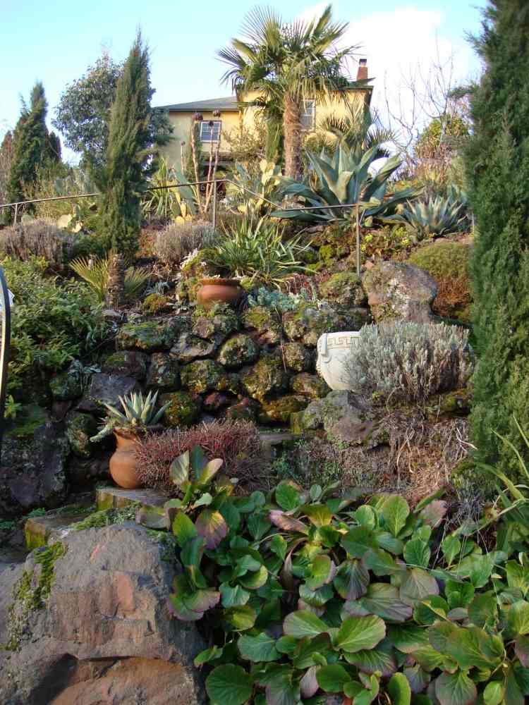 stredozemný-záhradný-dizajn-kamene-stena-starý-mach-vedro-zemný kryt-cyprus