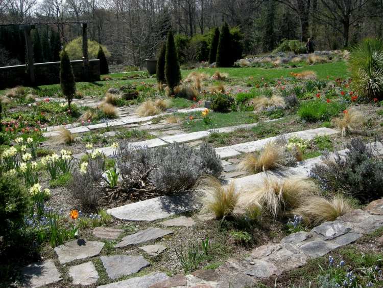 stredozemný-záhradný-dizajn-krok-vyvýšený-záhon-suché rastliny