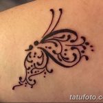 снимка на пеперуда Mehendi от 01.08.2017 г. №014 - Пеперуда Mehendi_