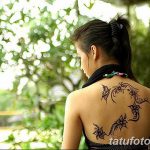 снимка Пеперуда Мехенди от 01.08.2017 г. №025 - Пеперуда Мехенди_