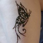 снимка на пеперуда Мехенди от 01.08.2017 г. №027 - Пеперуда Мехенди_